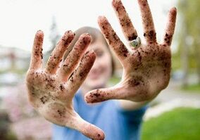 As causas dos parasitos no corpo humano