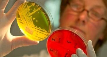 Diagnóstico de parasitos no corpo