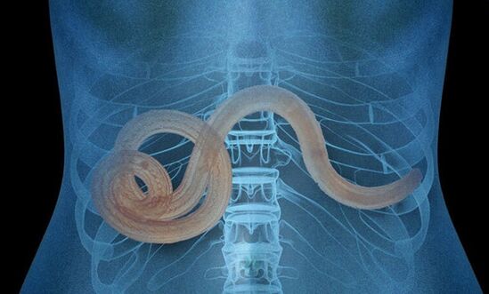 Parasito no corpo humano